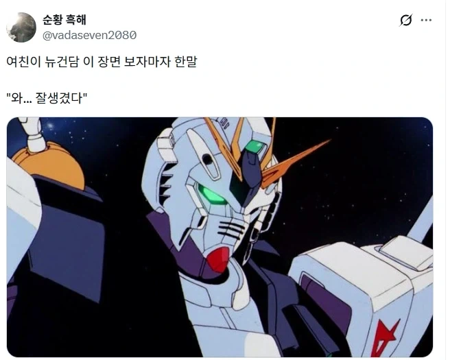 뉴건담을 본 여친이 한 말.jpg_1.webp