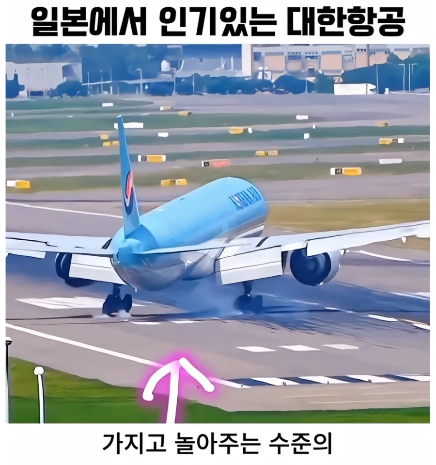 일본 항공 덕후들에게 대한항공이 인기있는 이유_3.webp