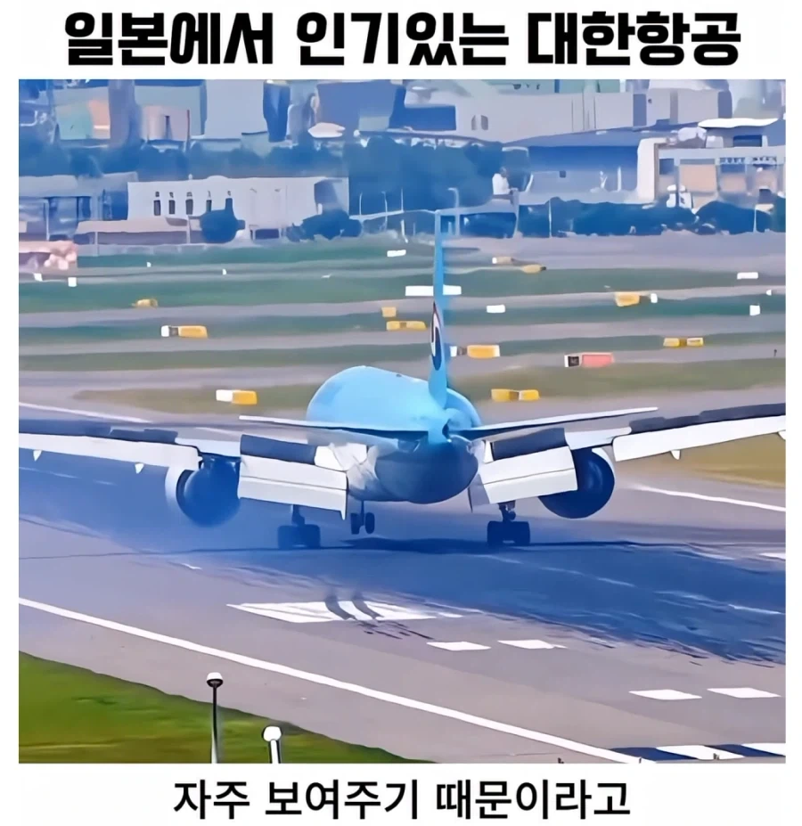일본 항공 덕후들에게 대한항공이 인기있는 이유_5.webp