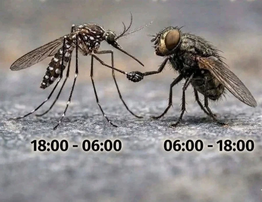 지금 막