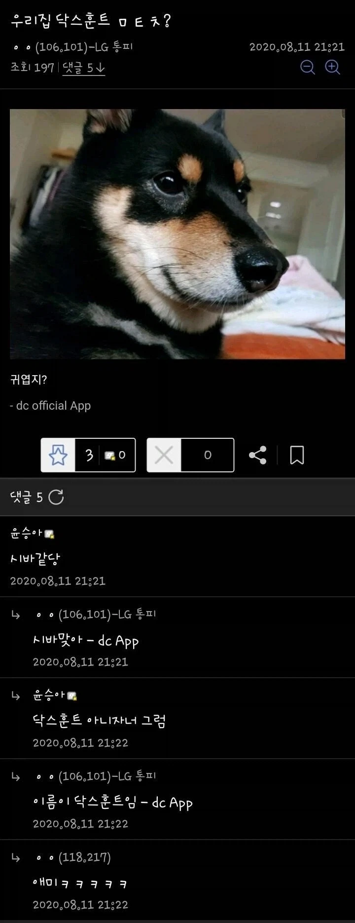 디씨의 닥스훈트 자랑.jpg_1.webp