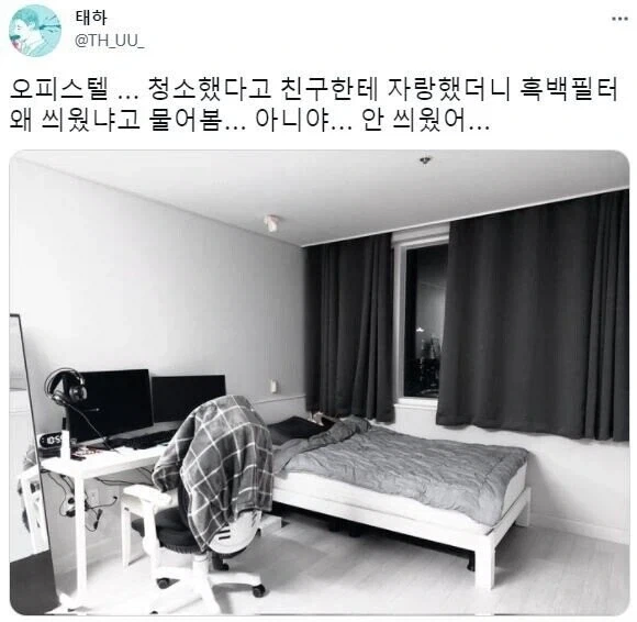 총천연색 컬러 사진_1.webp