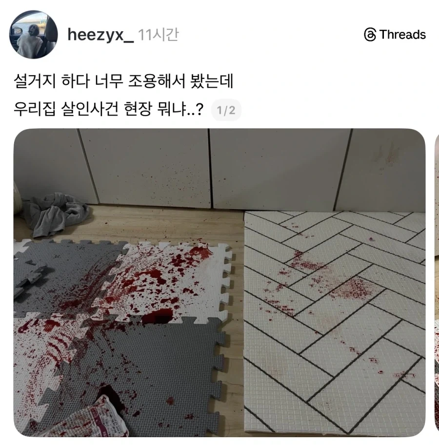 참혹한 부엌 살인 사건 현장.jpg_1.webp