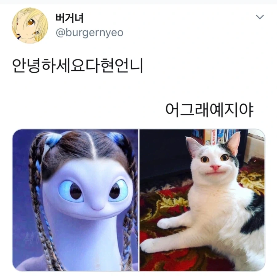 TOONZIP 이미지 3