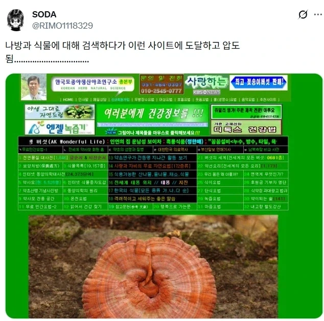TOONZIP 이미지 2