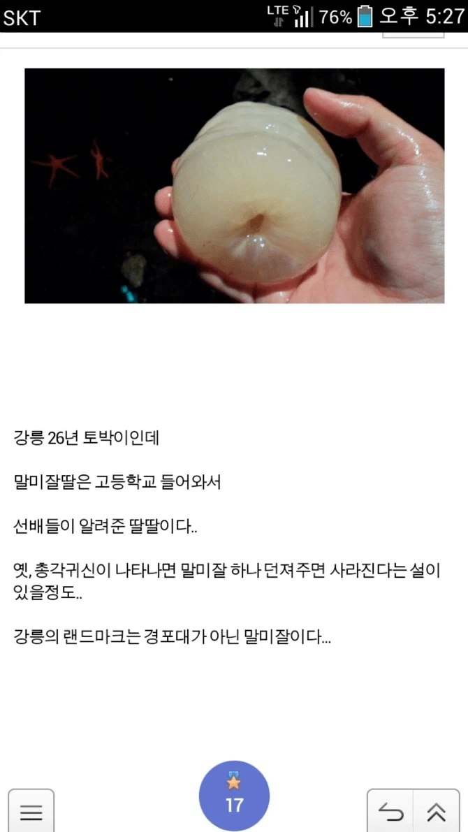 강릉의 랜드마크_1.webp