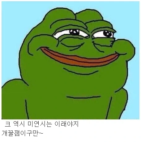 한국에서 유독 이게 왜 미연시냐는 말이 나오는 이유_4.webp