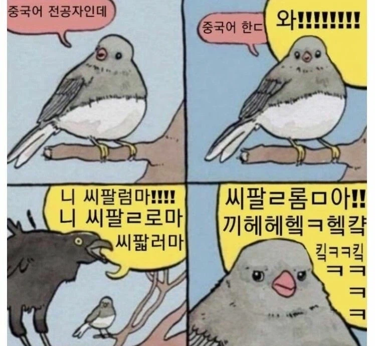 한때 중국어 전공자들 공감_1.webp