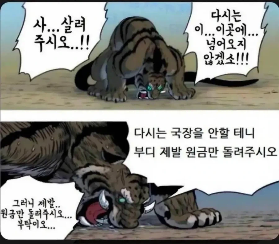 TOONZIP 이미지 6