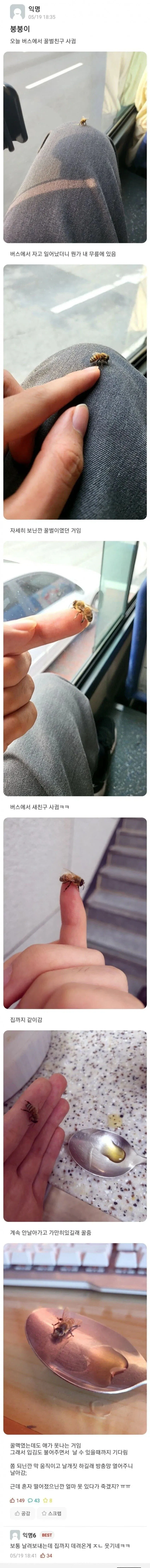 꿀벌 친구를 사귄 사람_1.webp