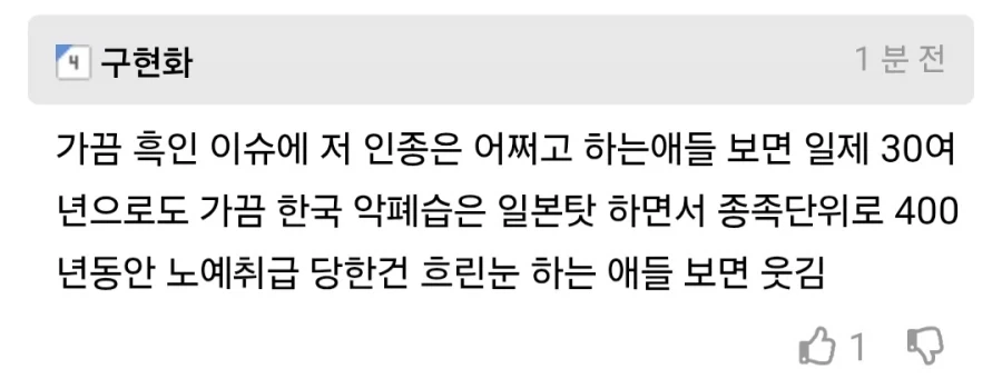미국 흑인이 자기들끼리 잘 살아보려고 했던 결과.jpg_2.webp