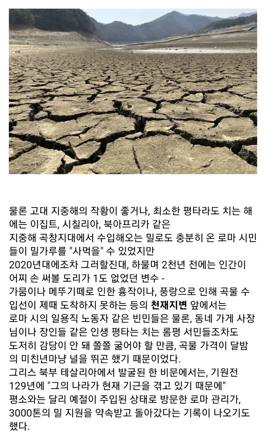 고대 로마의 곡물법_3.webp
