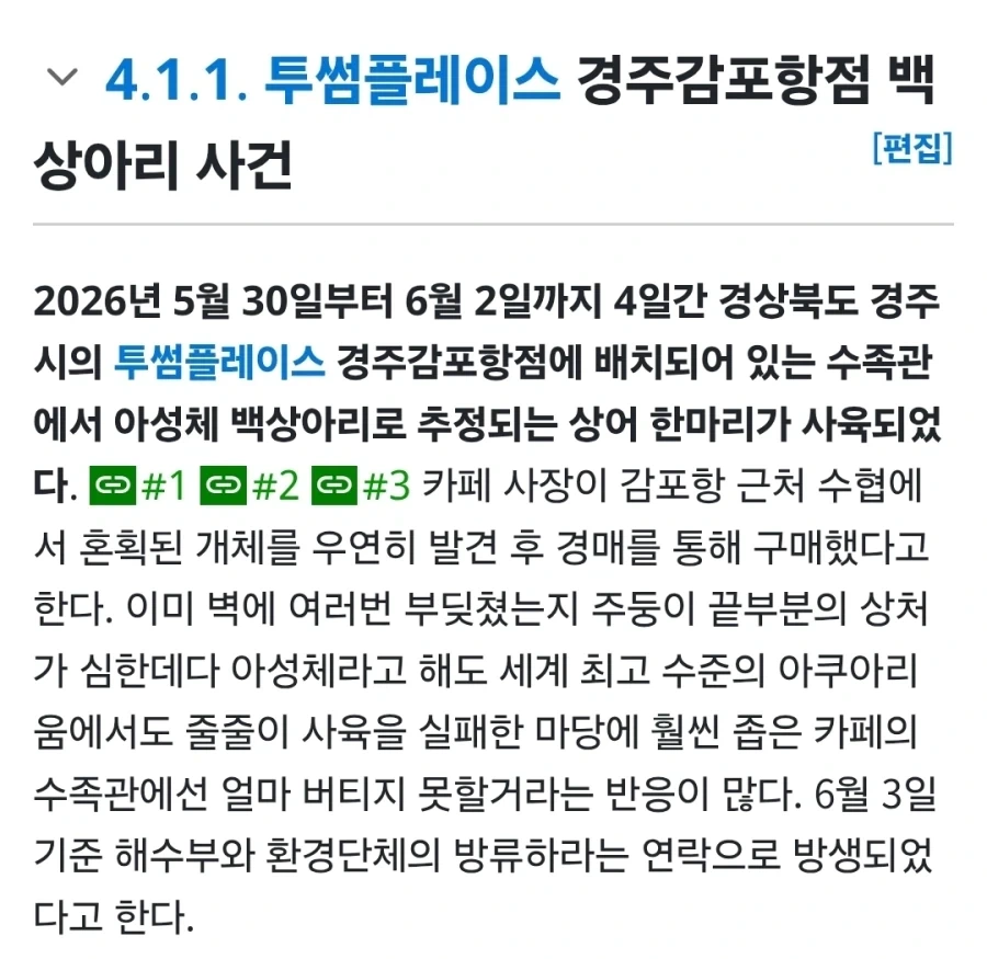 투썸플레이스 수족관 백상아리 사육 ㄷㄷ_3.webp