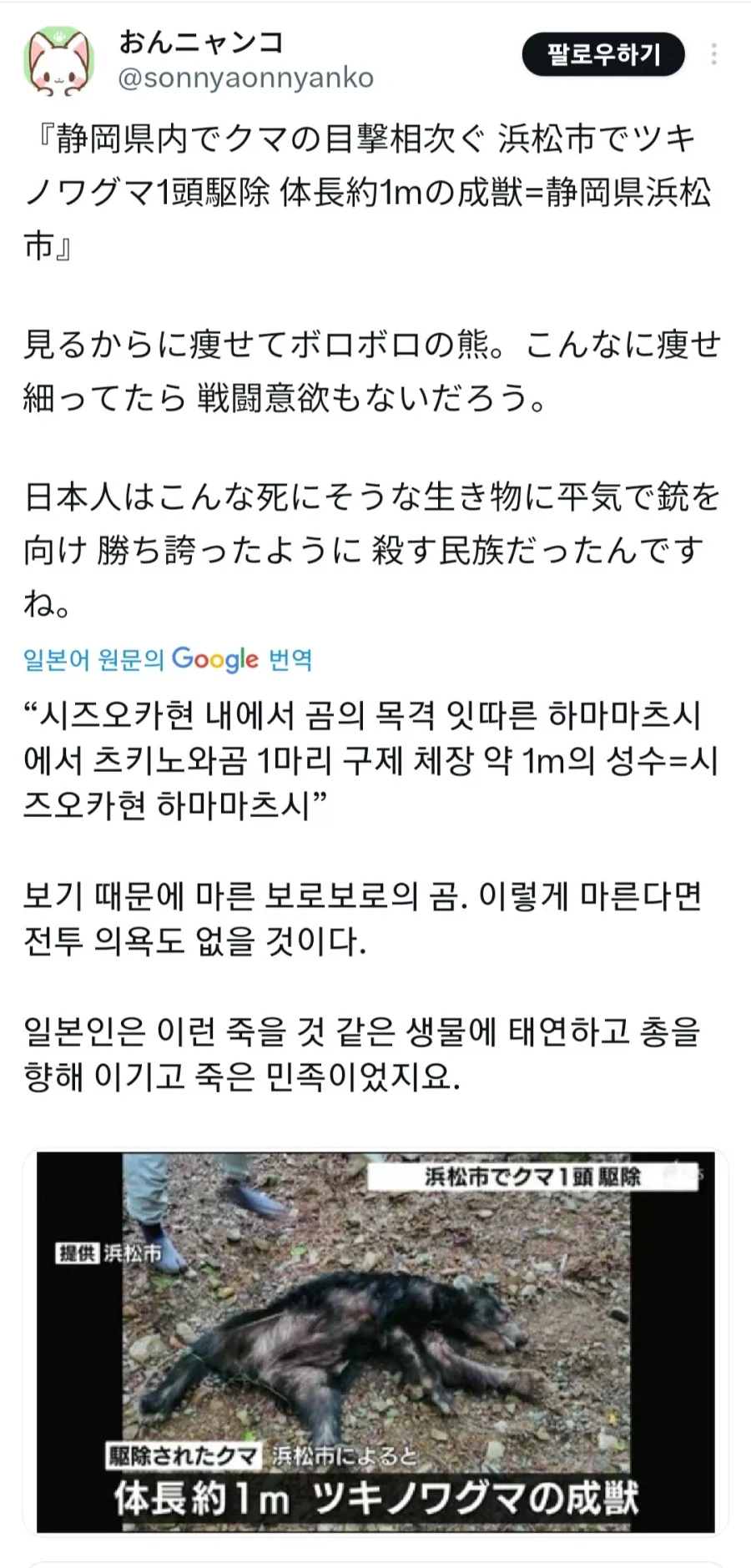 하마마츠시에서 잡은 반달곰이라는데 사람 바로 공격하겠네_1.webp