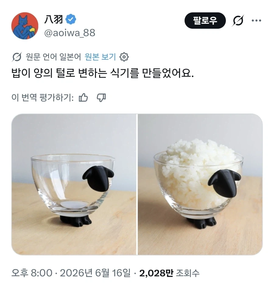 한국은 양이 피로 물들겠지?_1.webp