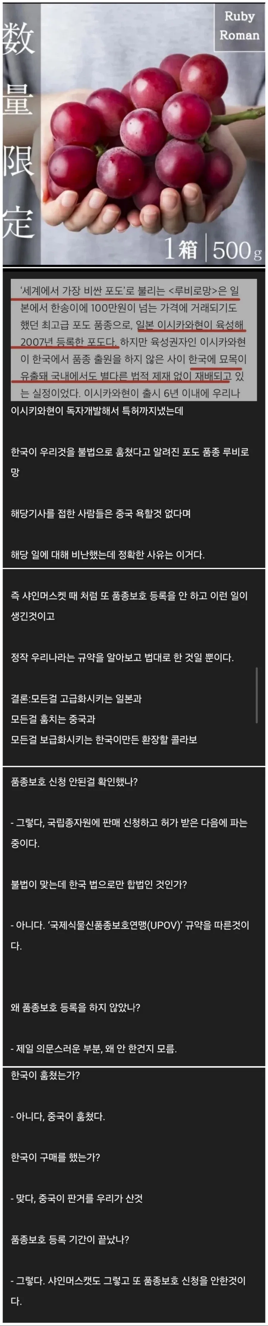 제 2의 샤인 머스켓 사태_1.webp