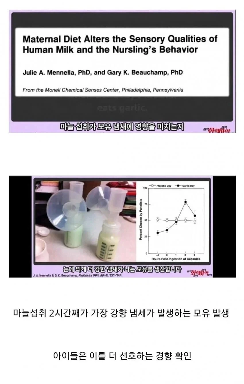 마늘이 모유에 미치는 영향_1.webp
