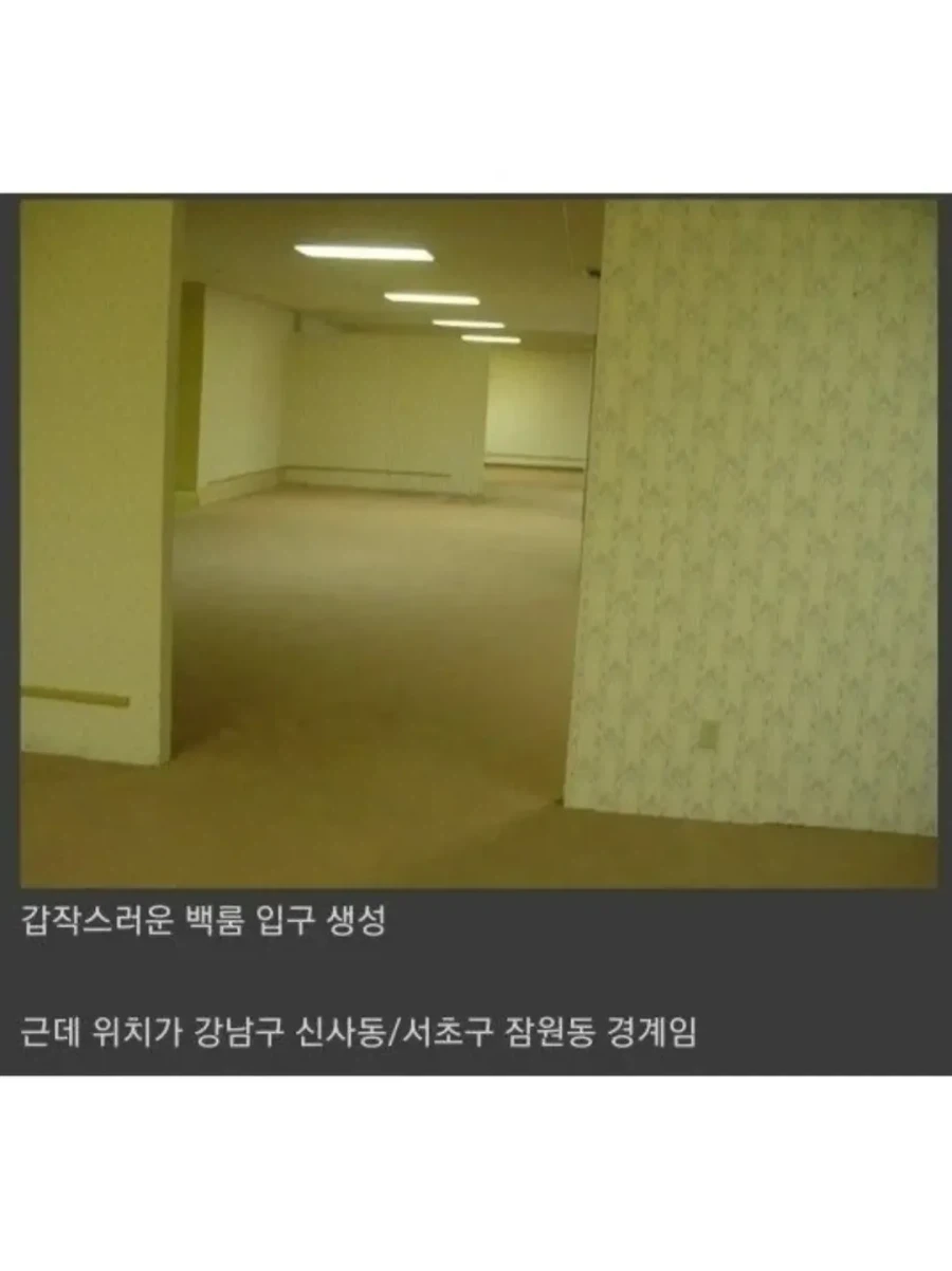 백룸이 한국에서 발견되었다면.jpg_2.webp