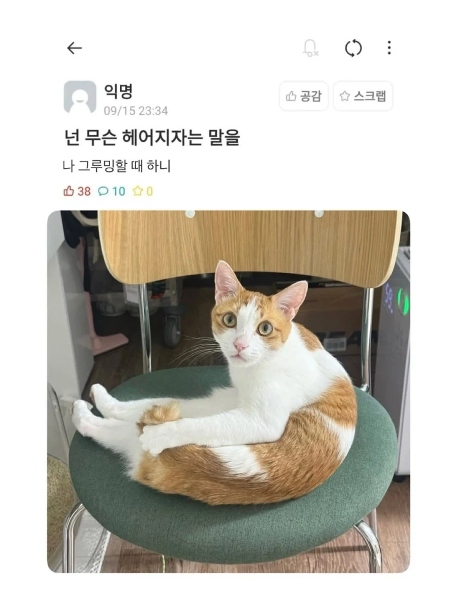 넌 무슨 헤어지자는 말을..._1.webp