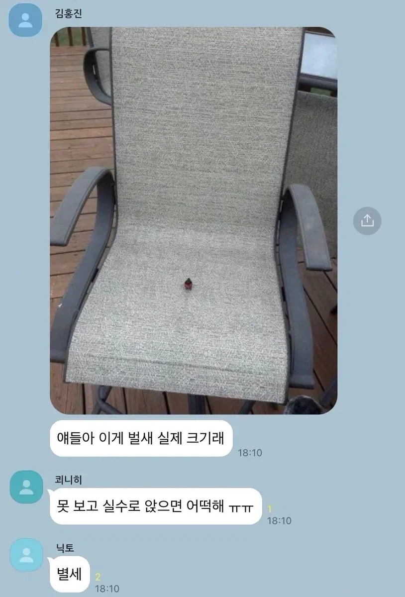 얘들아 이게 벌새 실제 크기래.jpg_1.webp