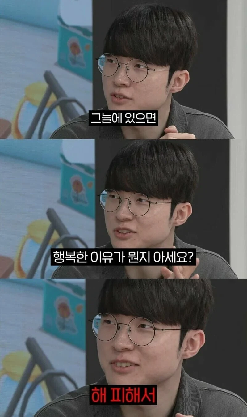 그늘에 있으면 행복한 이유_1.webp