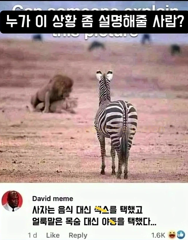이게 대체 무슨 상황이냐_1.webp