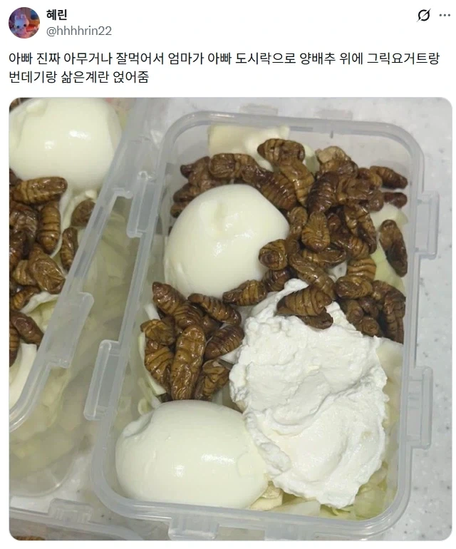 아무거나 잘먹는 아빠 도시락.jpg_1.webp