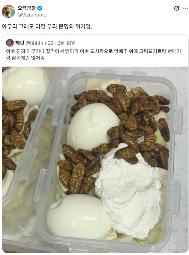 아무거나 잘먹는 아빠 도시락.jpg_2.webp