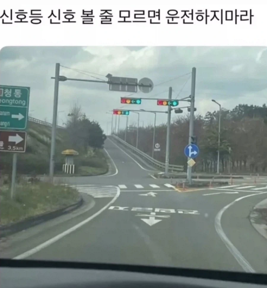 의외로 어려운 신호등 보는법_1.webp