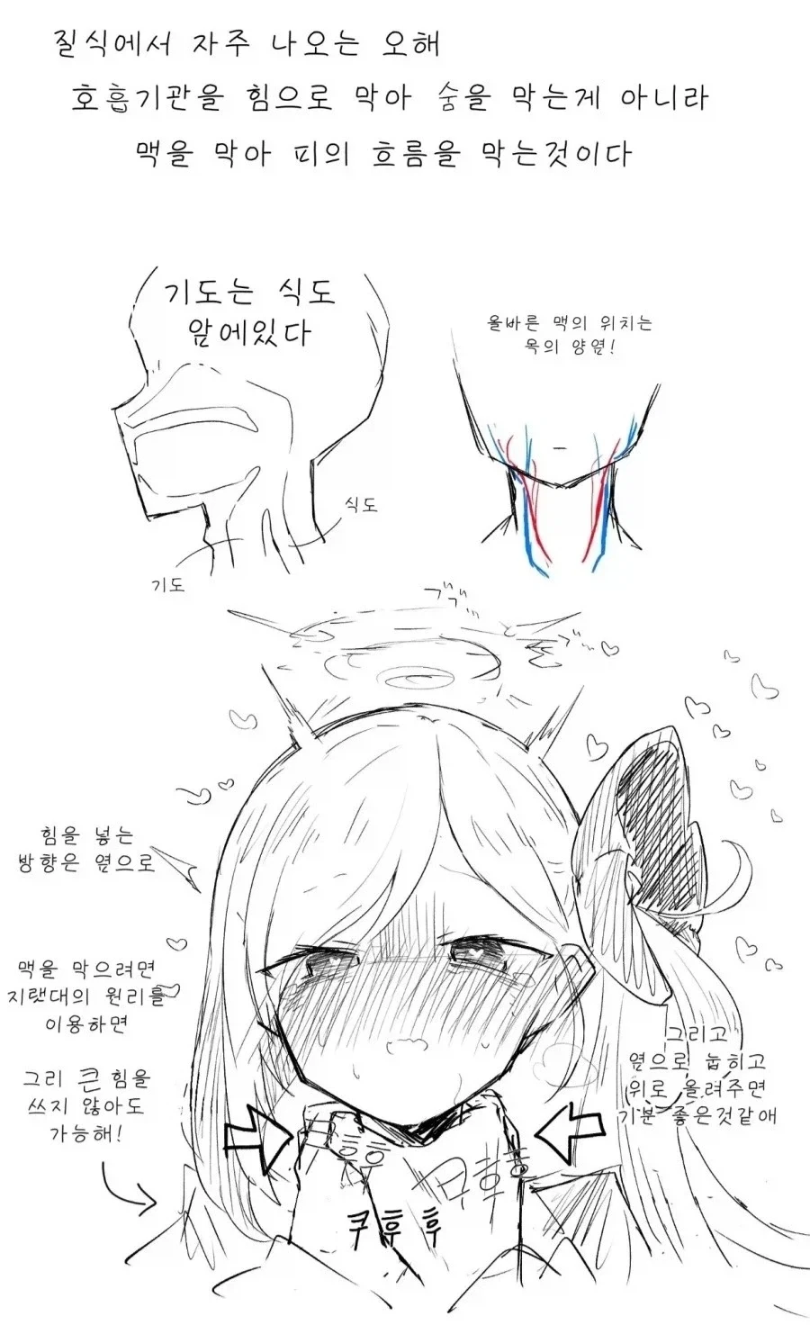 질식에 대한 흔한 오해_1.webp