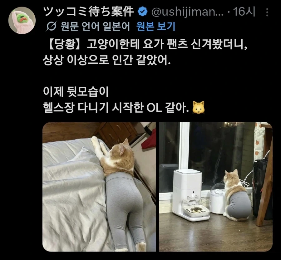 워해머 40k에서 대단한 녀석 대표 이미지