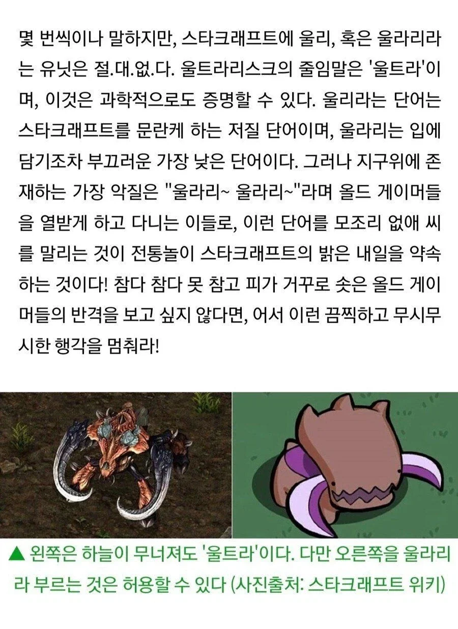 한국 PC방에 충격먹은 외국인 대표 이미지