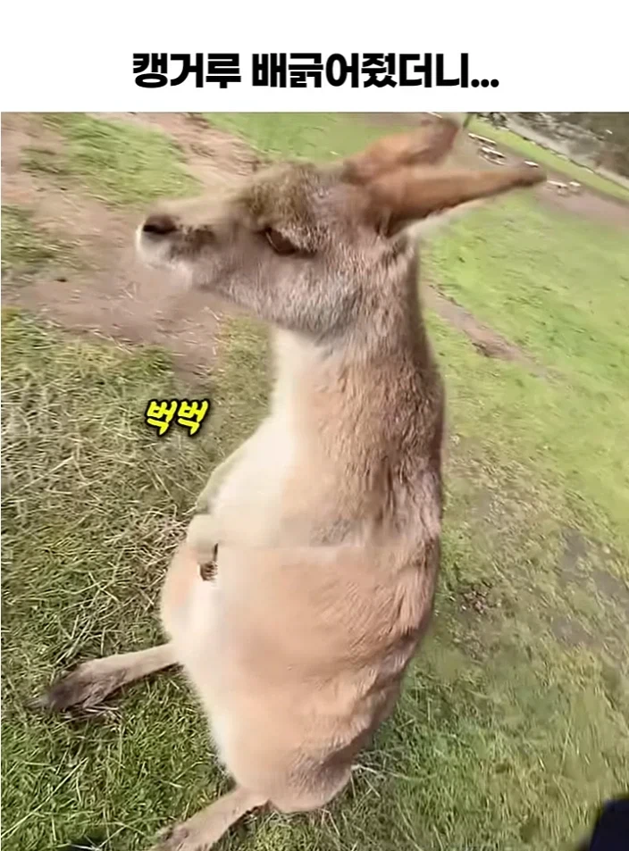 “두려워하지 말라.” 대표 이미지