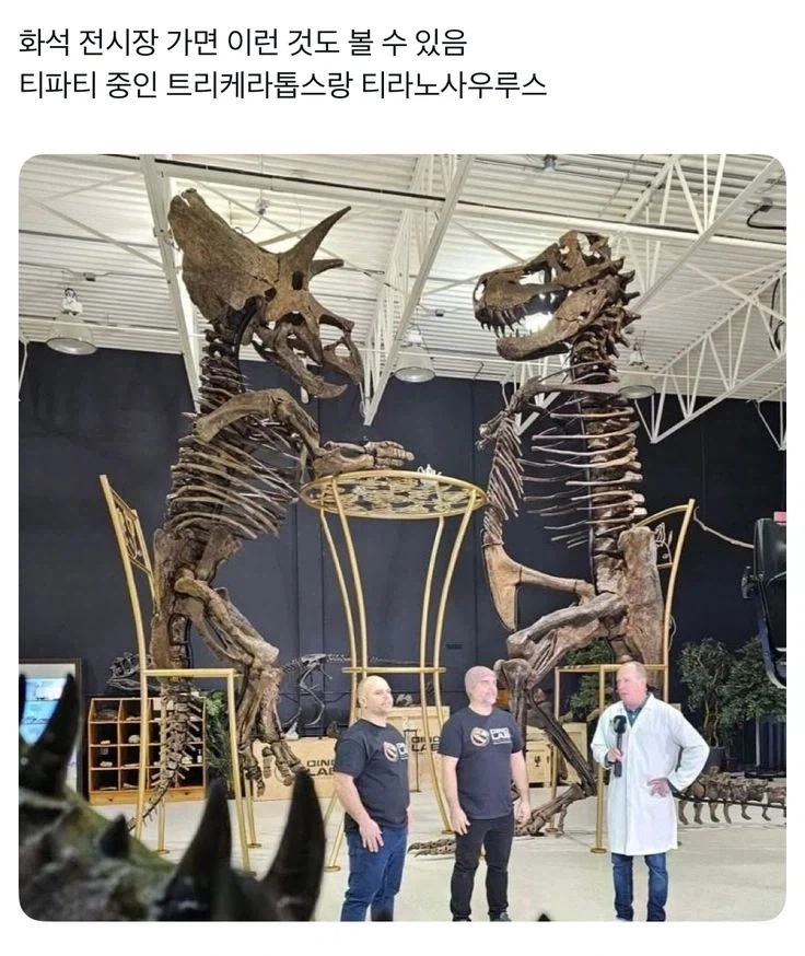 트릭컬)현질 저점은 낮은데 고점이 한없이 높다는 쌀먹충.jpg 이미지 4