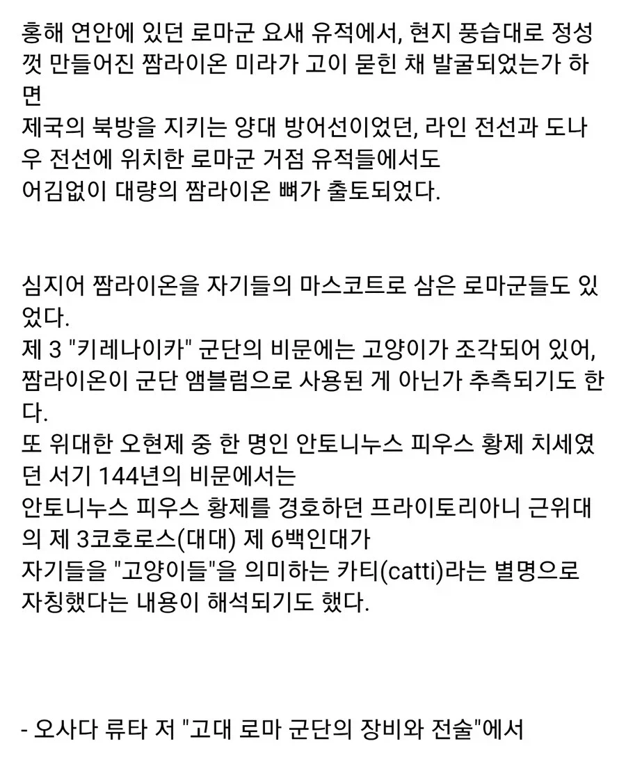 고대 로마군과 고양이 이야기_5.webp