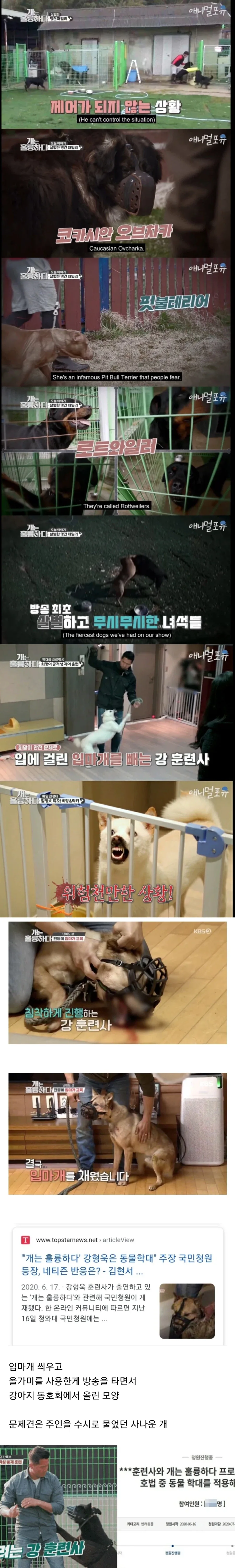 졸업할수있게 도와준 은인 이미지 3