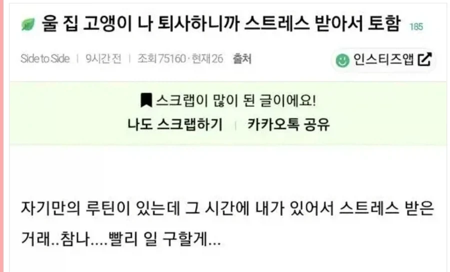 주인이 퇴사하니까 스트레스로 토하기 시작한 고양이.jpg_1.webp