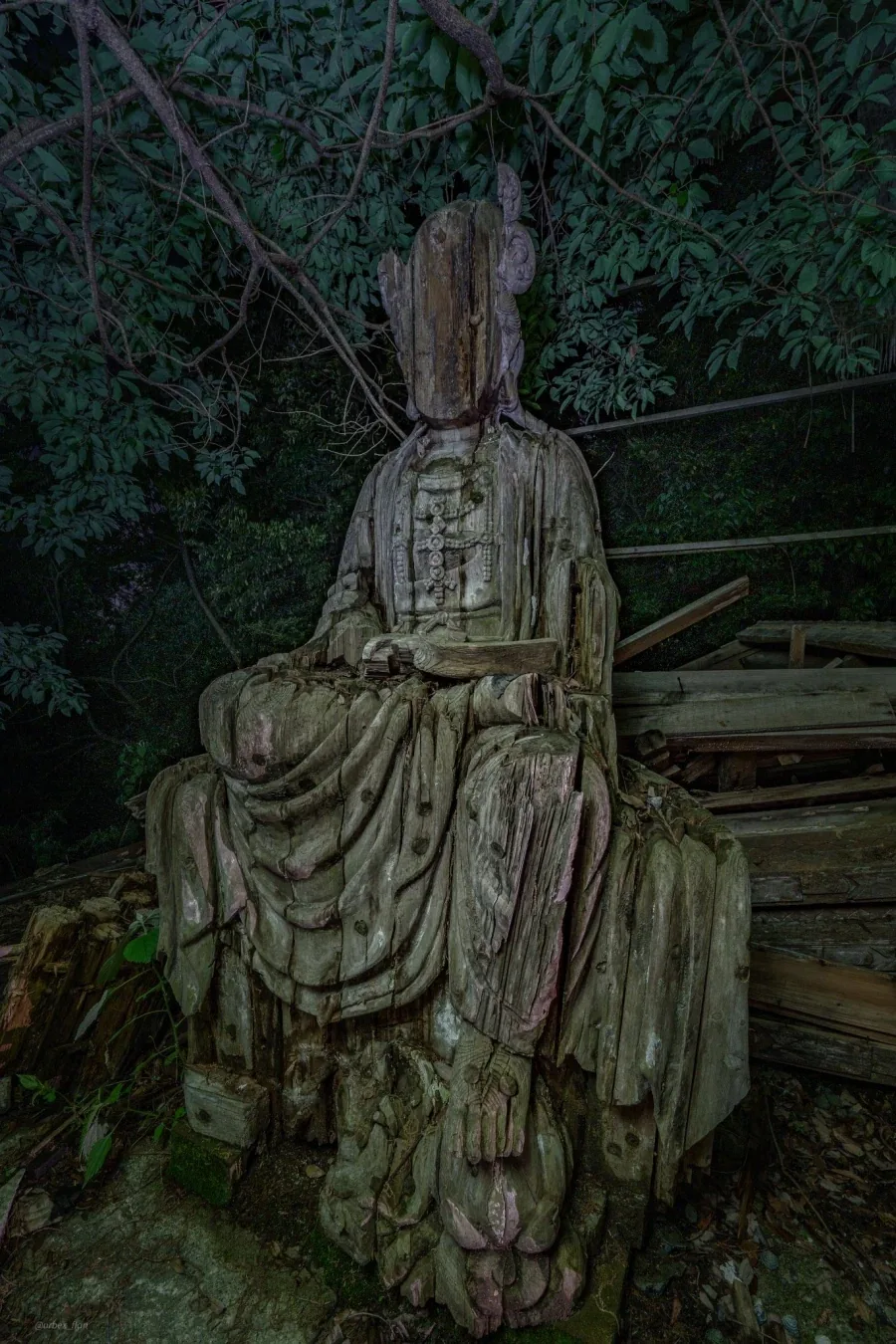 일본, 어떤 숲속의 얼굴이 손상된 불상☸️_1.webp