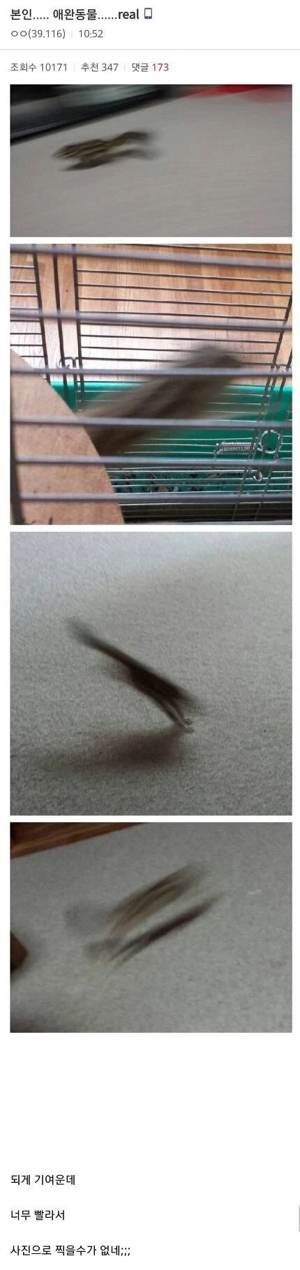 일본 여자 대표팀 이미지 3