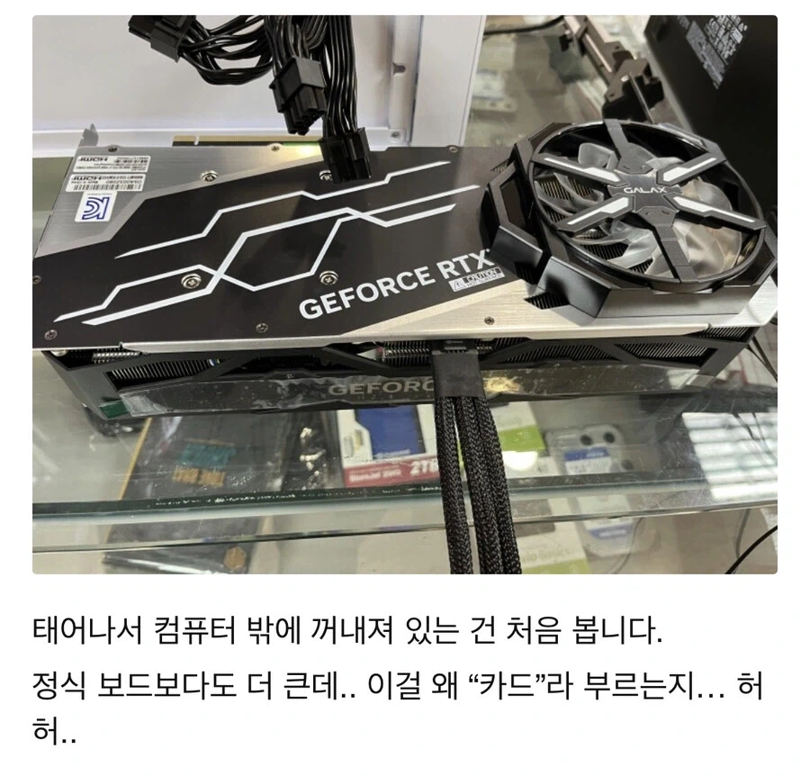 (또) 월세 밀린 입주자 이미지 6