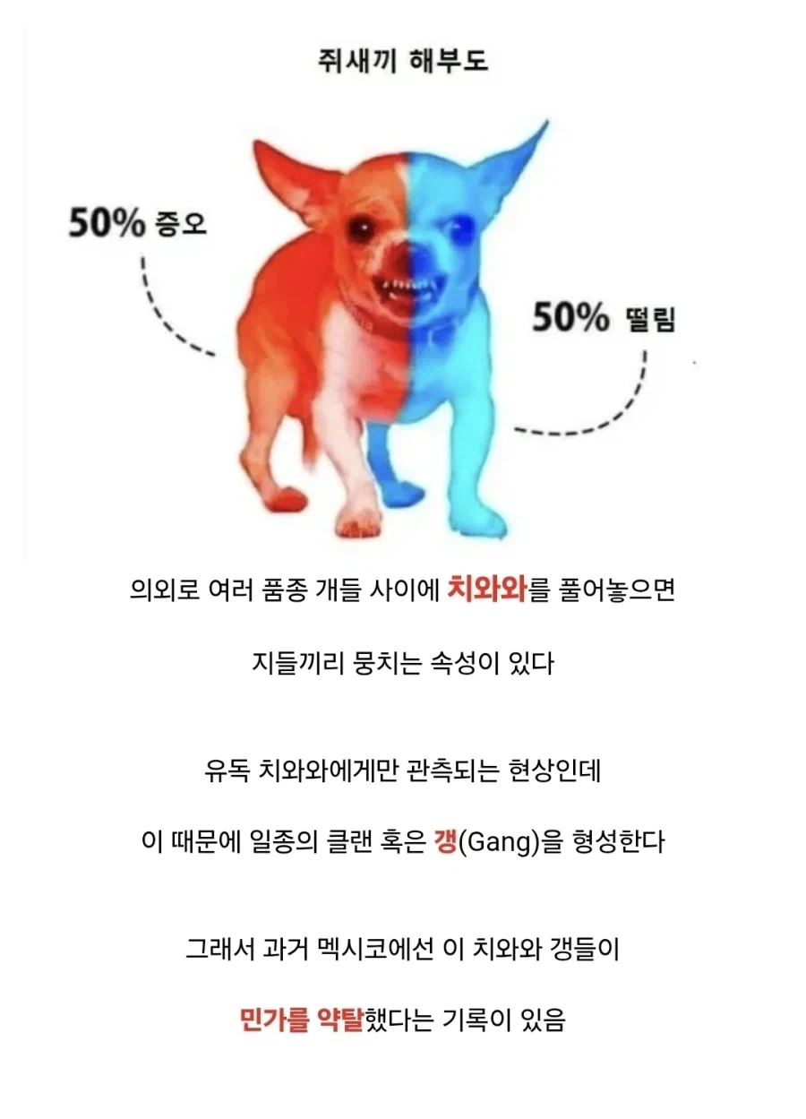 트릭컬)현질 저점은 낮은데 고점이 한없이 높다는 쌀먹충.jpg 대표 이미지