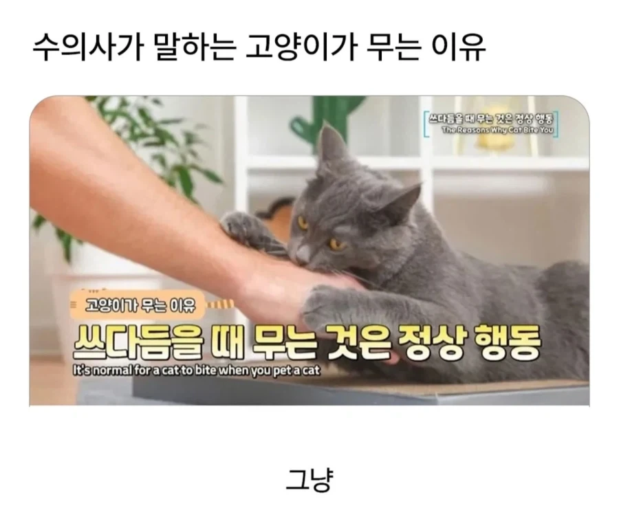 첫 연애, 첫 데이트 후기.jpg 대표 이미지