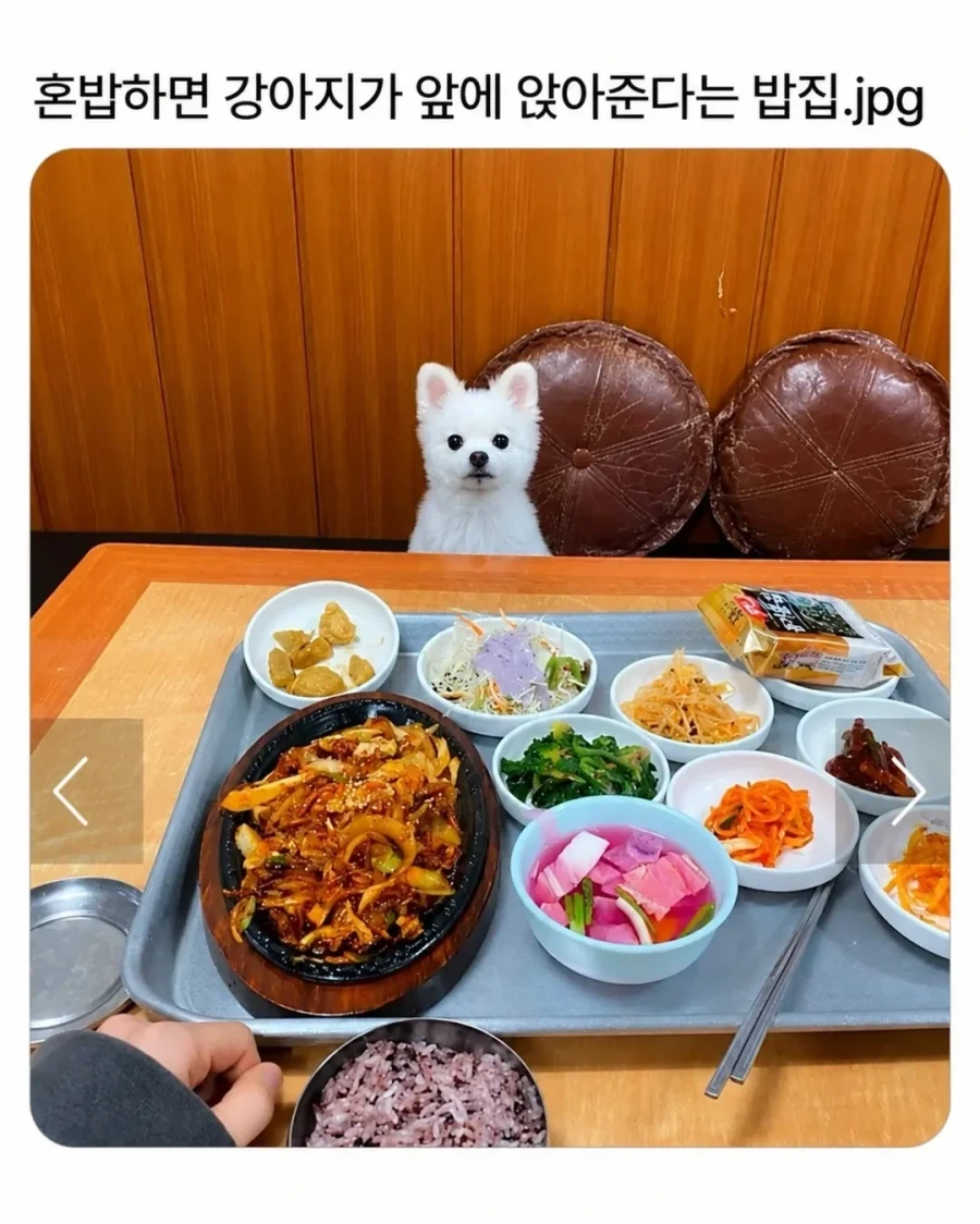 엔드필드) 현 엔드필드에 개인적으로 바라는 거 이미지 3
