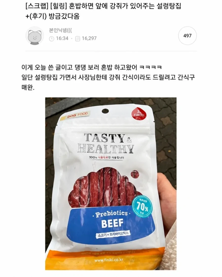 혼밥하면 강아지가 앞에 앉아준다는 밥집_3.webp