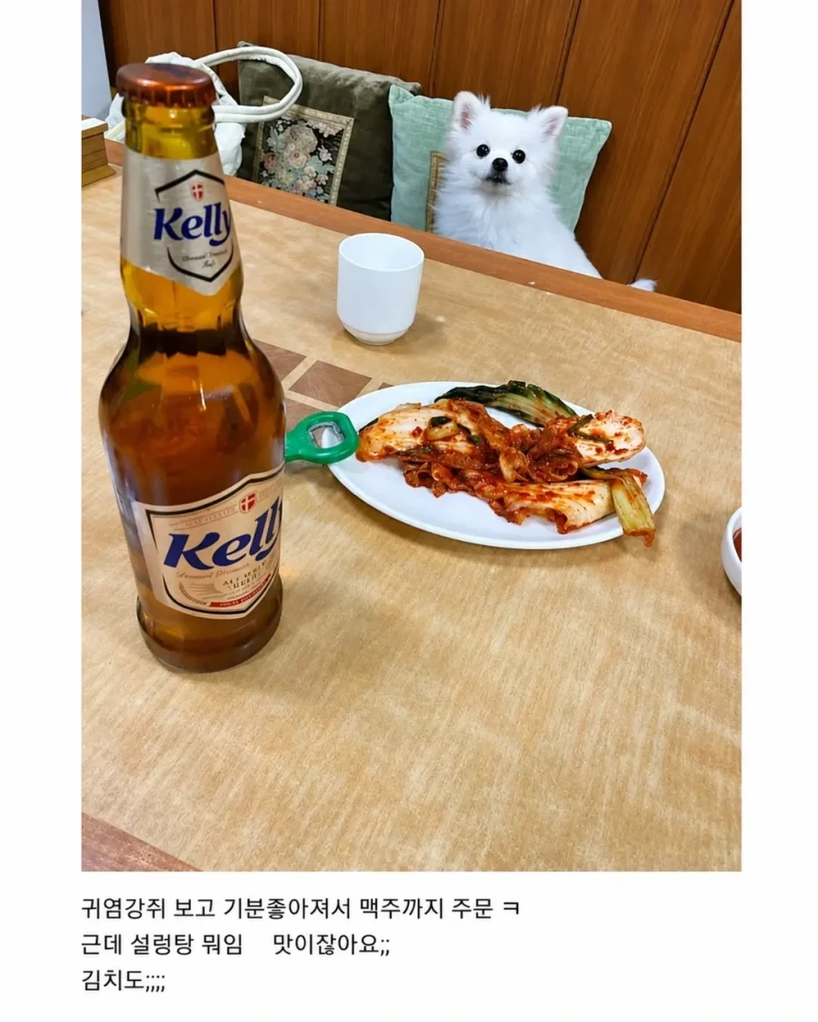 혼밥하면 강아지가 앞에 앉아준다는 밥집_6.webp