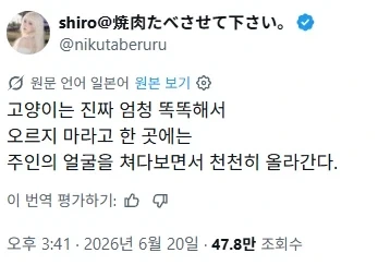 의외로 스시와 어울리는 소스 이미지 3