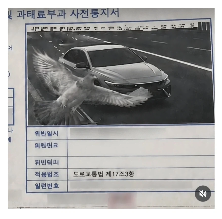 주책맞게 딸 미팅에 대신 참여하는 엄마 이미지 4