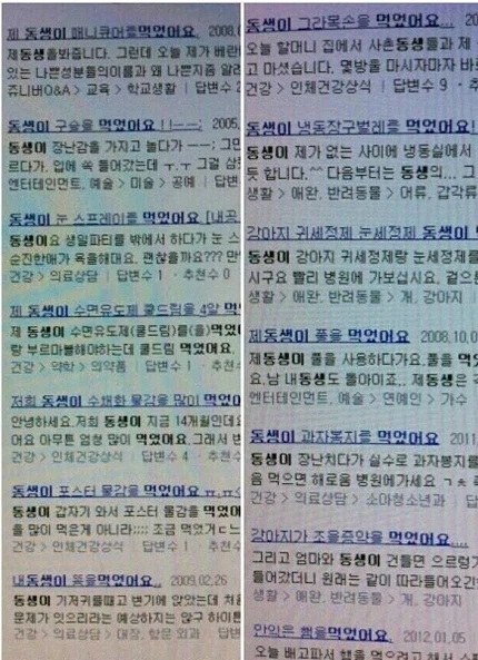 보닌쟝이 기르는 되게 귀여운 애완동물 사진.jpg 대표 이미지