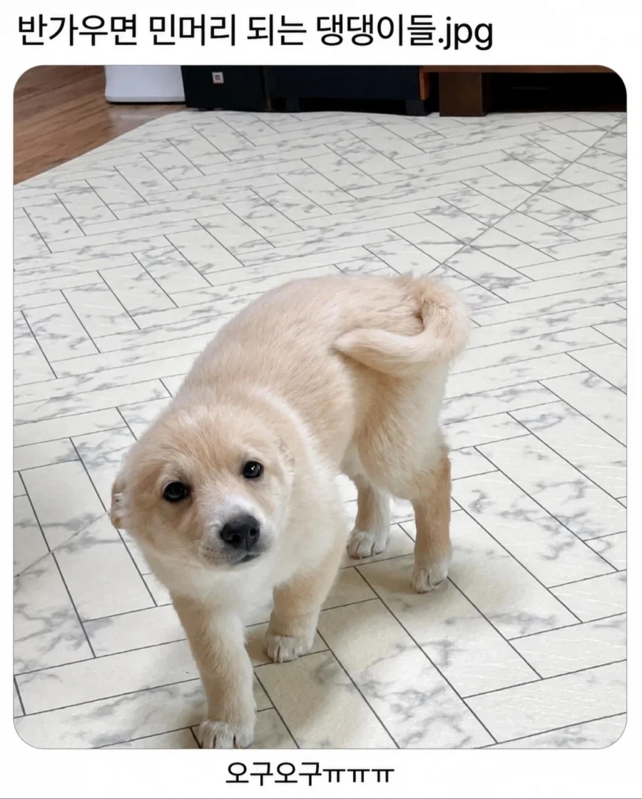 뭐야 다들 늙었다니 무슨소리야? 대표 이미지