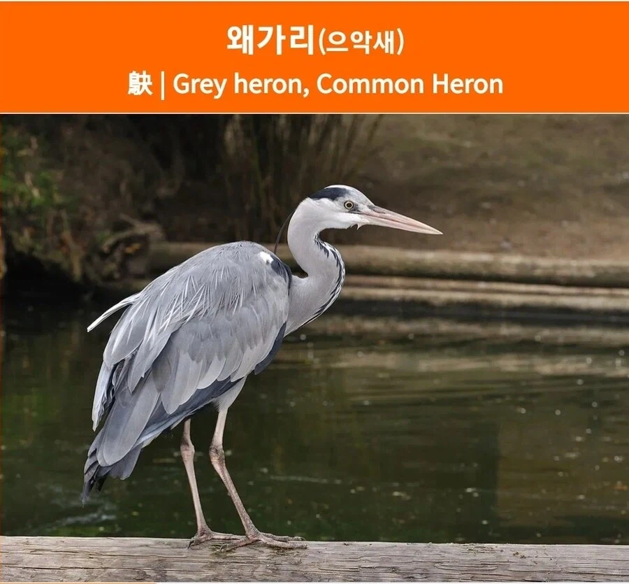 집사가 아가씨에게 뺨맞은 이유 이미지 2